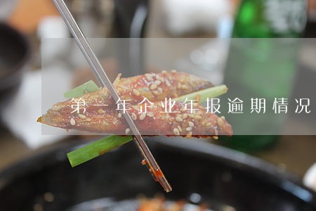 第一年企业年报逾期情况说明 第一年企业年报逾期情况说明