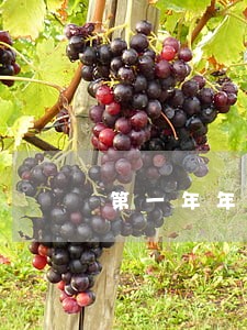 第一年年检逾期第二年年检