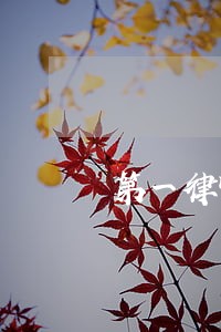 第一律师1