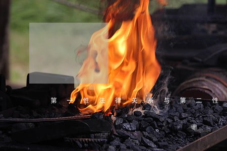 第一性法律关系与第二性法律关系