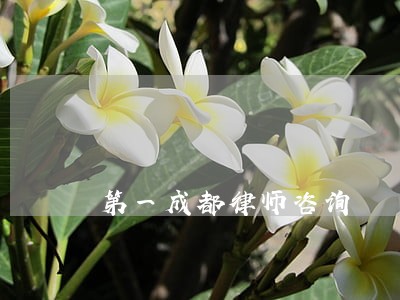第一成都律师咨询 第一成都律师咨询