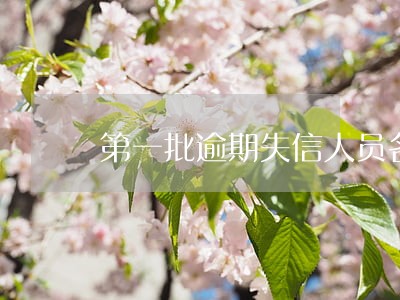 第一批逾期失信人员名单 第一批逾期失信人员名单