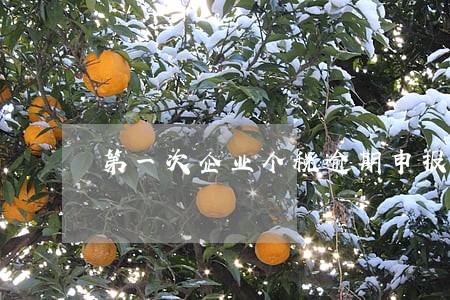 第一次企业个税逾期申报会处罚吗 第一次企业个税逾期申报会处罚吗