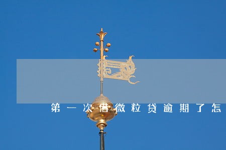 第一次借微粒贷逾期了怎么办 第一次借微粒贷逾期了怎么办