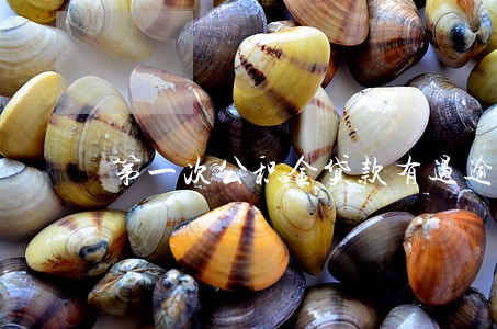 第一次公积金贷款有过逾期 第一次公积金贷款有过逾期