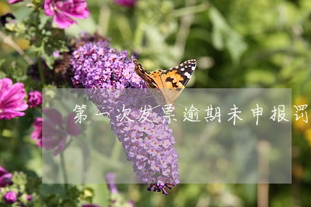 第一次发票逾期未申报罚多少钱 第一次发票逾期未申报罚多少钱