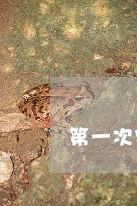第一次宪法修正案时间 第一次宪法修正案时间