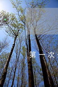 第一次开庭法院没判决 第一次开庭法院没判决
