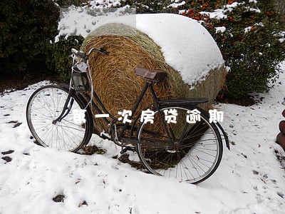 第一次房贷逾期 第一次房贷逾期