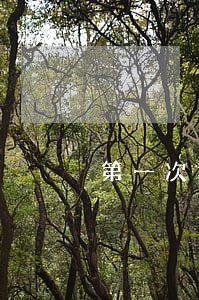 第一次报税逾期了怎么办 第一次报税逾期了怎么办