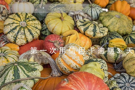 第一次用信用卡逾期3天了怎么办 第一次用信用卡逾期3天了怎么办