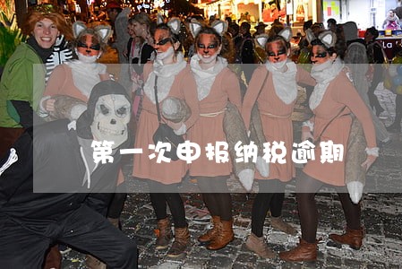 第一次申报纳税逾期 第一次申报纳税逾期