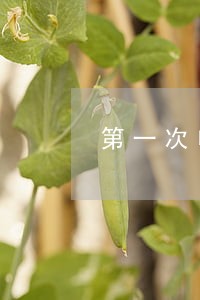 第一次申报逾期是否免罚 第一次申报逾期是否免罚