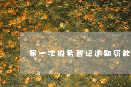 第一次税务登记逾期罚款吗 第一次税务登记逾期罚款吗
