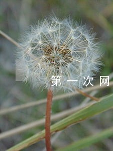 第一次网贷逾期会打电话吗 第一次网贷逾期会打电话吗