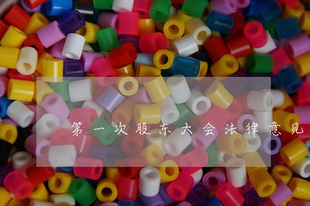 第一次股东大会法律意见书 第一次股东大会法律意见书