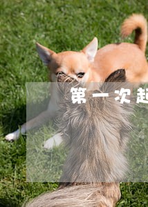 第一次起诉离婚请律师白花钱 第一次起诉离婚请律师白花钱