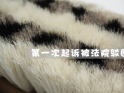 第一次起诉被法院驳回不予受理 第一次起诉被法院驳回不予受理