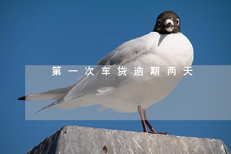 第一次车贷逾期两天 第一次车贷逾期两天