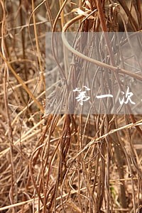 第一次逾期3个月卡被冻结 第一次逾期3个月卡被冻结