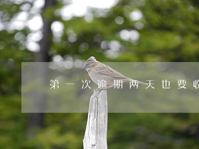 第一次逾期两天也要收循环利息吗 第一次逾期两天也要收循环利息吗