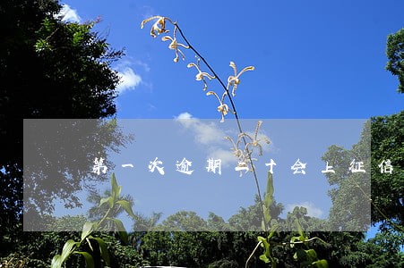 第一次逾期二十会上征信吗 第一次逾期二十会上征信吗