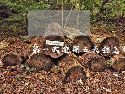 第一次逾期五天会怎样 第一次逾期五天会怎样