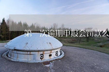 第一次逾期申报会罚款么 第一次逾期申报会罚款么