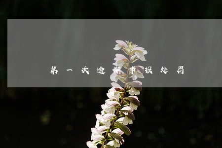 第一次逾期申报处罚