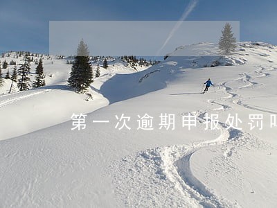 第一次逾期申报处罚吗 第一次逾期申报处罚吗