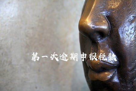 第一次逾期申报税款 第一次逾期申报税款