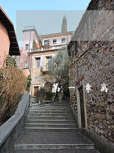 第一章离婚协议迟清洛 第一章离婚协议迟清洛