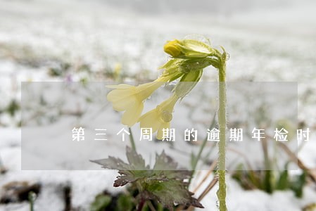 第三个周期的逾期年检时段 第三个周期的逾期年检时段