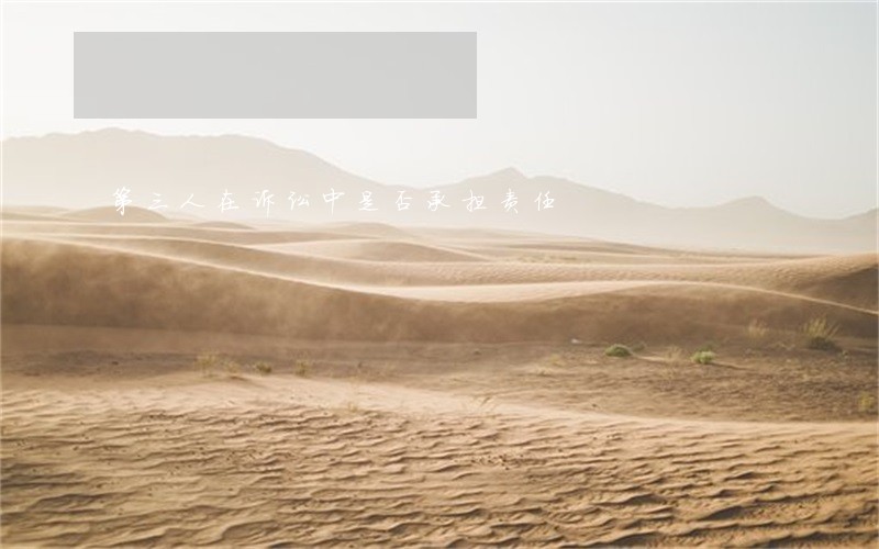 第三人在诉讼中是否承担责任