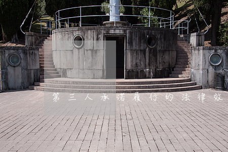 第三人承诺履行的法律效力范本 第三人承诺履行的法律效力范本