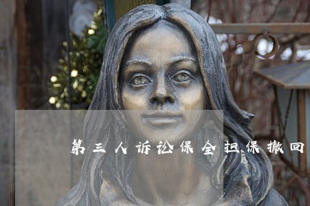 第三人诉讼保全担保撤回 第三人诉讼保全担保撤回