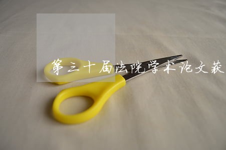 第三十届法院学术论文获奖
