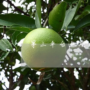 第三平台逾期对个人征信 第三平台逾期对个人征信