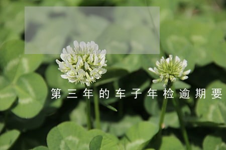 第三年的车子年检逾期要怎么办 第三年的车子年检逾期要怎么办