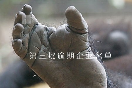 第三批逾期企业名单 第三批逾期企业名单