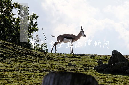 第三方企业法律顾问 第三方企业法律顾问
