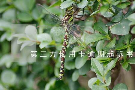 第三方信用卡逾期起诉书 第三方信用卡逾期起诉书