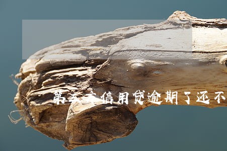 第三方信用贷逾期了还不上怎么办 第三方信用贷逾期了还不上怎么办