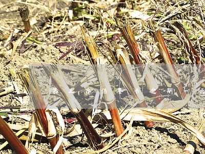 第三方信誉卡逾期一天多少钱 第三方信誉卡逾期一天多少钱