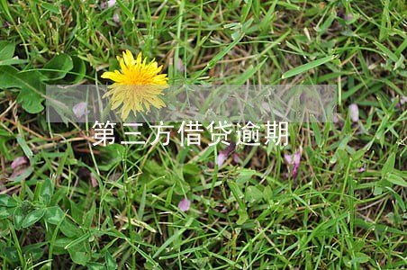 第三方借贷逾期 第三方借贷逾期