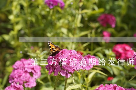 第三方借贷逾期给发律师函 第三方借贷逾期给发律师函