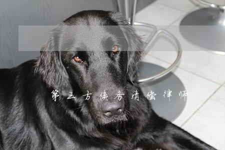 第三方债务清偿律师 第三方债务清偿律师