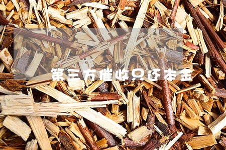 第三方催收只还本金 第三方催收只还本金