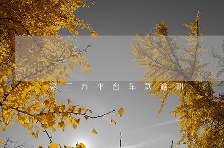 第三方平台车款逾期 第三方平台车款逾期