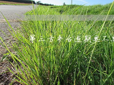 第三方平台逾期要不要还
